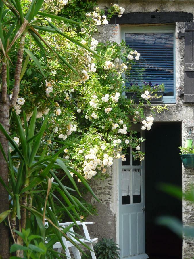Topaze Sejour Chez Le Vigneron Monnieres  Luaran gambar