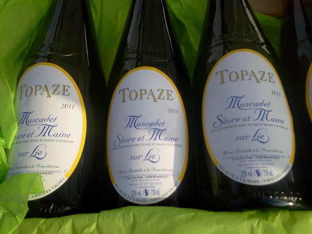 Topaze Sejour Chez Le Vigneron Monnieres  Luaran gambar